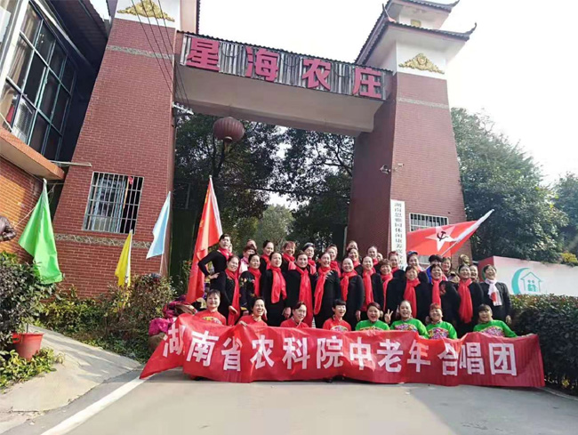 养老服务
