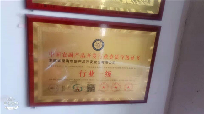 公司资质