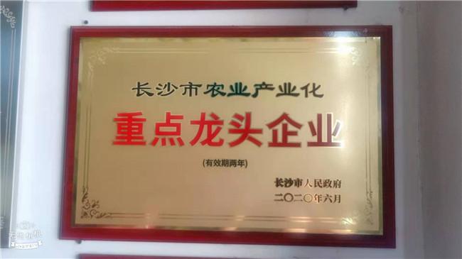 公司资质