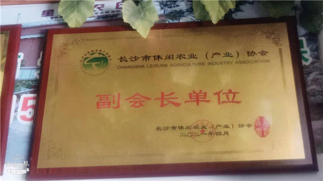 公司资质