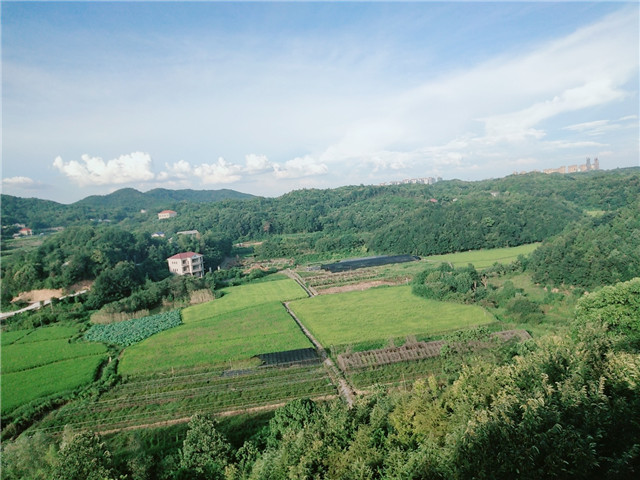 农庄风景